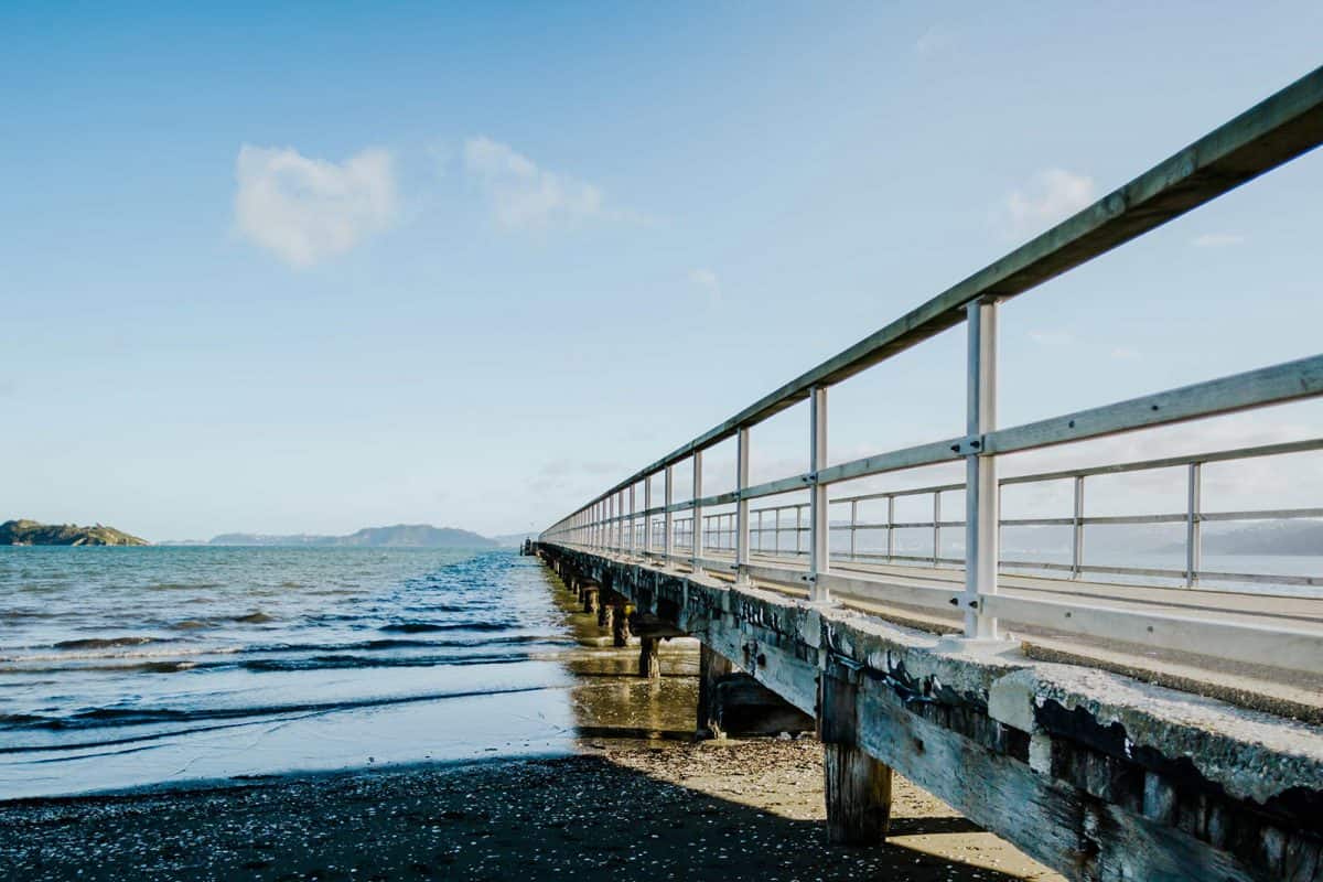 Petone Wharf - Tommy's Real Estate