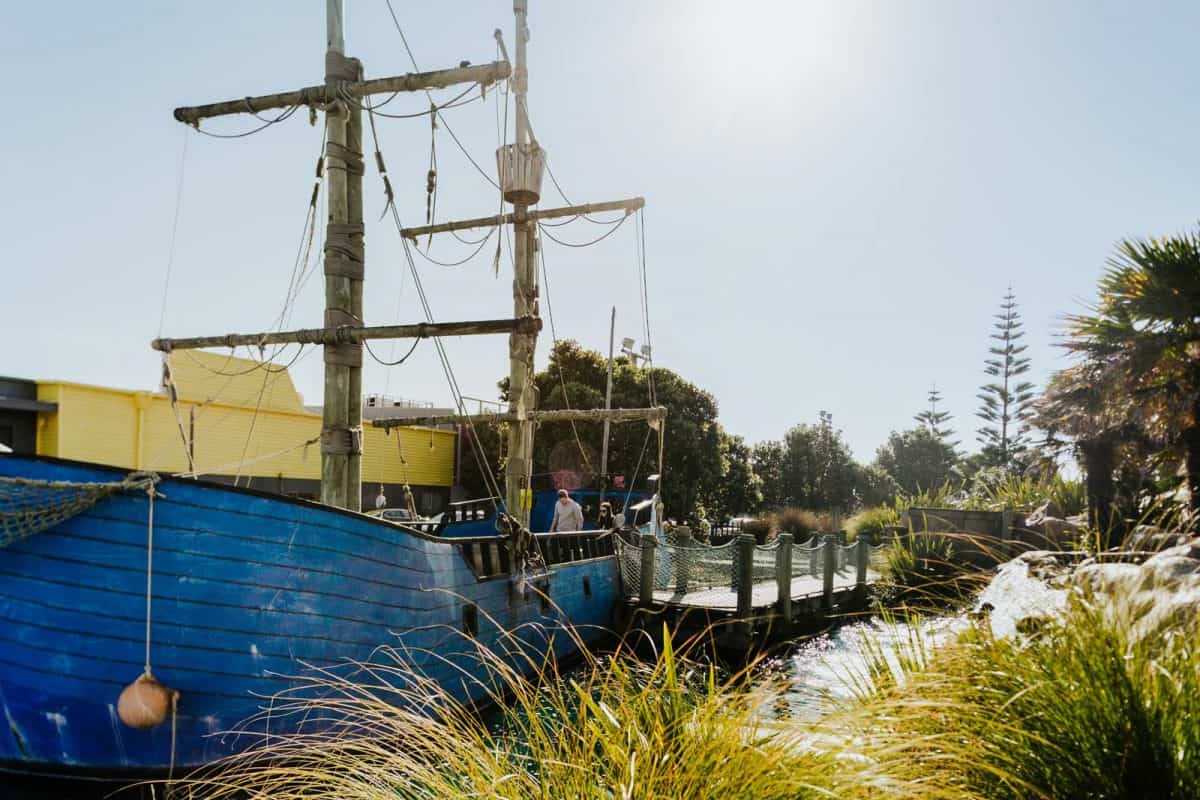 pirate cave, Porirua - Tommy's Real Estate