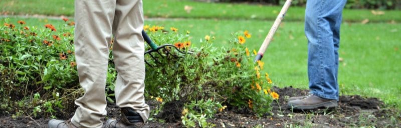 gardening and rake