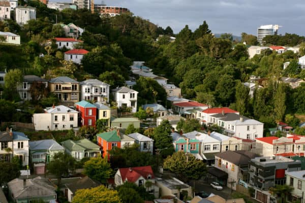 Aro Valley Houses